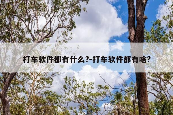 打车软件都有什么?-打车软件都有啥?-第1张图片-优惠活动网