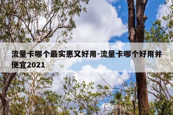 流量卡哪个最实惠又好用-流量卡哪个好用并便宜2021-第1张图片-优惠活动网 流量卡哪个最实惠又好用-流量卡哪个好用并便宜2021-第1张图片-优惠活动网
