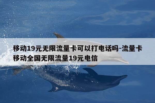 移动19元无限流量卡可以打电话吗-流量卡移动全国无限流量19元电信-第1张图片-优惠活动网