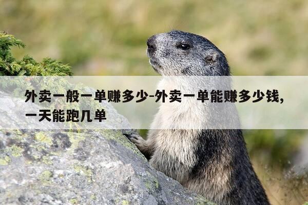 外卖一般一单赚多少-外卖一单能赚多少钱,一天能跑几单-第1张图片-优惠活动网 外卖一般一单赚多少-外卖一单能赚多少钱,一天能跑几单-第1张图片-优惠活动网