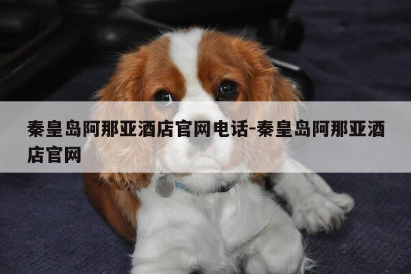 秦皇岛阿那亚酒店官网电话-秦皇岛阿那亚酒店官网-第1张图片-优惠活动网