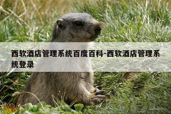 西软酒店管理系统百度百科-西软酒店管理系统登录-第1张图片-优惠活动网