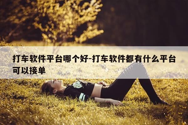 打车软件平台哪个好-打车软件都有什么平台可以接单-第1张图片-优惠活动网
