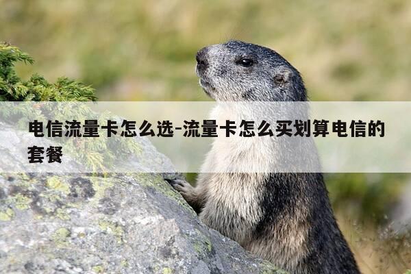 电信流量卡怎么选-流量卡怎么买划算电信的套餐-第1张图片-优惠活动网
