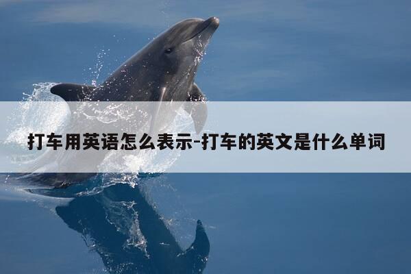 打车用英语怎么表示-打车的英文是什么单词-第1张图片-优惠活动网