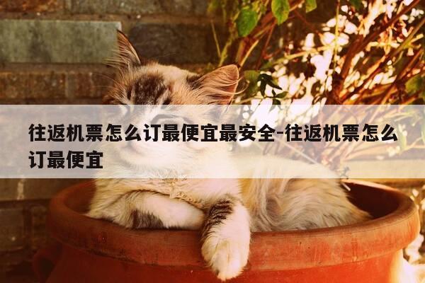 往返机票怎么订最便宜最安全-往返机票怎么订最便宜-第1张图片-优惠活动网