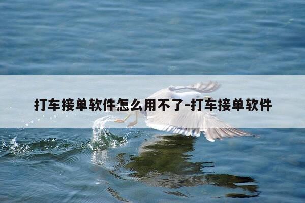 打车接单软件怎么用不了-打车接单软件-第1张图片-优惠活动网 打车接单软件怎么用不了-打车接单软件-第1张图片-优惠活动网