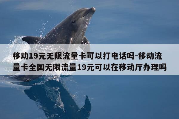 移动19元无限流量卡可以打电话吗-移动流量卡全国无限流量19元可以在移动厅办理吗-第1张图片-优惠活动网