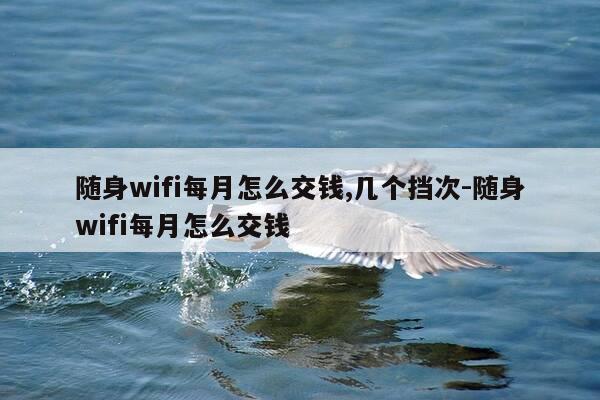 随身wifi每月怎么交钱,几个挡次-随身wifi每月怎么交钱-第1张图片-优惠活动网 随身wifi每月怎么交钱,几个挡次-随身wifi每月怎么交钱-第1张图片-优惠活动网