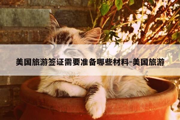 美国旅游签证需要准备哪些材料-美国旅游-第1张图片-优惠活动网 美国旅游签证需要准备哪些材料-美国旅游-第1张图片-优惠活动网