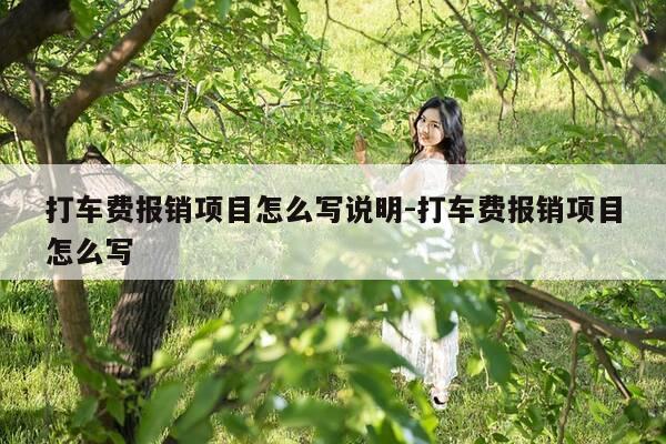 打车费报销项目怎么写说明-打车费报销项目怎么写-第1张图片-优惠活动网