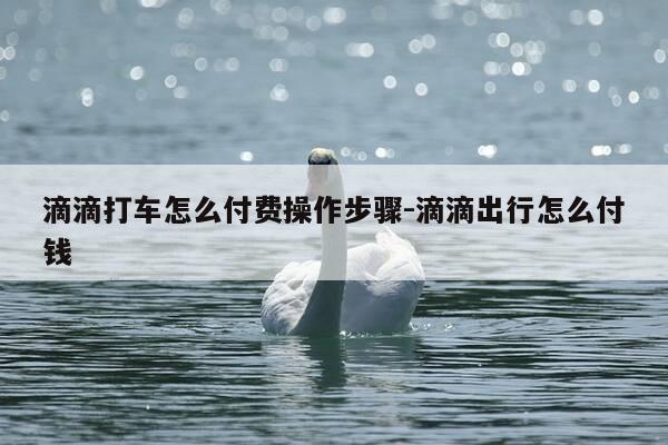 滴滴打车怎么付费操作步骤-滴滴出行怎么付钱-第1张图片-优惠活动网