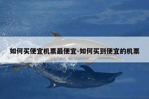 如何买便宜机票最便宜-如何买到便宜的机票-第1张图片-优惠活动网