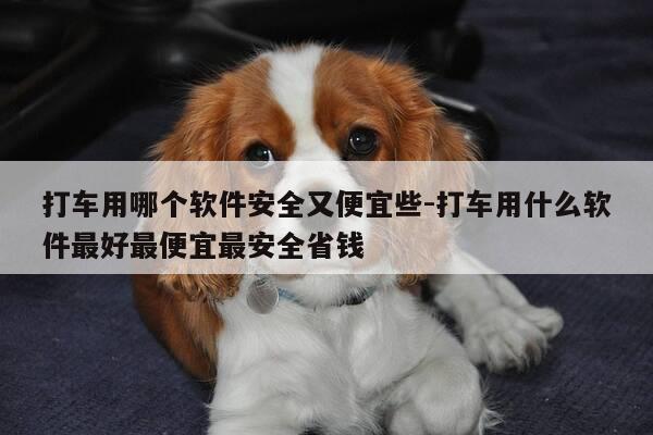 打车用哪个软件安全又便宜些-打车用什么软件最好最便宜最安全省钱-第1张图片-优惠活动网 打车用哪个软件安全又便宜些-打车用什么软件最好最便宜最安全省钱-第1张图片-优惠活动网