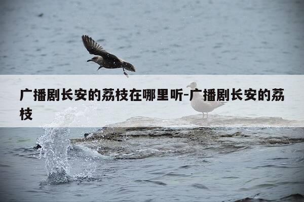 广播剧长安的荔枝在哪里听-广播剧长安的荔枝-第1张图片-优惠活动网