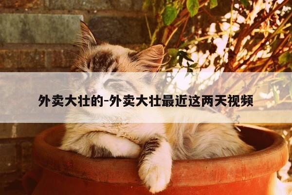 外卖大壮的-外卖大壮最近这两天视频-第1张图片-优惠活动网