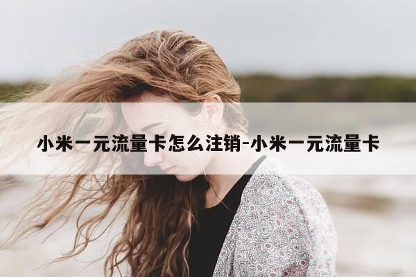 小米一元流量卡怎么注销-小米一元流量卡-第1张图片-优惠活动网 小米一元流量卡怎么注销-小米一元流量卡-第1张图片-优惠活动网