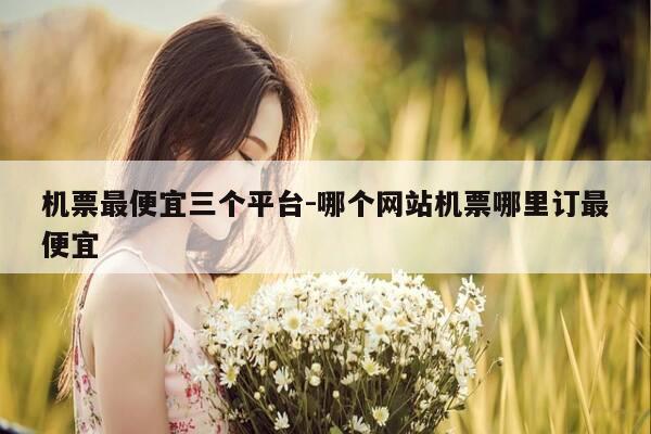 机票最便宜三个平台-哪个网站机票哪里订最便宜-第1张图片-优惠活动网