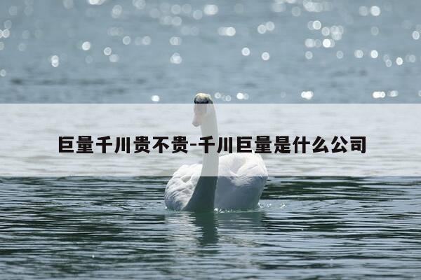 巨量千川贵不贵-千川巨量是什么公司-第1张图片-优惠活动网