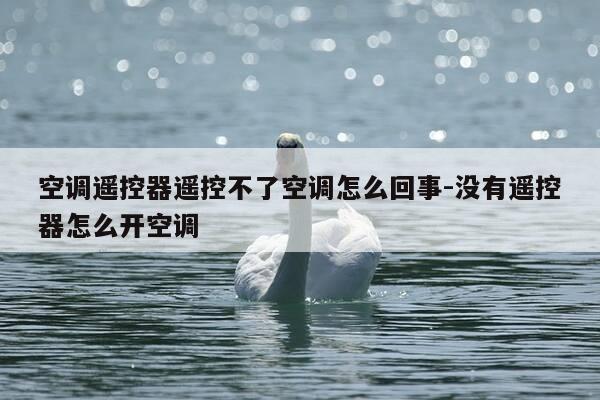 空调遥控器遥控不了空调怎么回事-没有遥控器怎么开空调-第1张图片-优惠活动网 空调遥控器遥控不了空调怎么回事-没有遥控器怎么开空调-第1张图片-优惠活动网