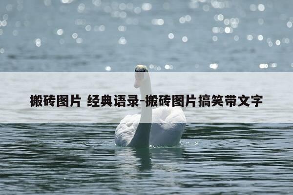 搬砖图片 经典语录-搬砖图片搞笑带文字-第1张图片-优惠活动网 搬砖图片 经典语录-搬砖图片搞笑带文字-第1张图片-优惠活动网