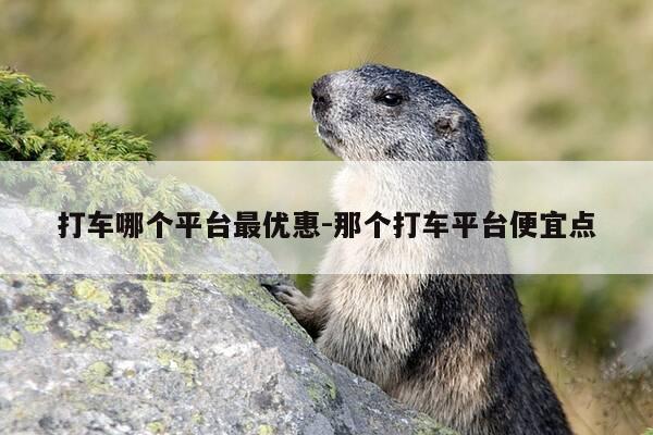 打车哪个平台最优惠-那个打车平台便宜点-第1张图片-优惠活动网