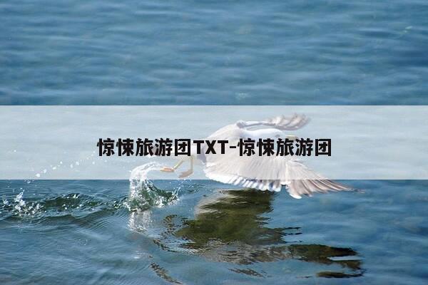 惊悚旅游团TXT-惊悚旅游团-第1张图片-优惠活动网