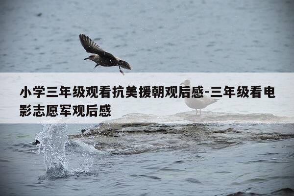 小学三年级观看抗美援朝观后感-三年级看电影志愿军观后感-第1张图片-优惠活动网