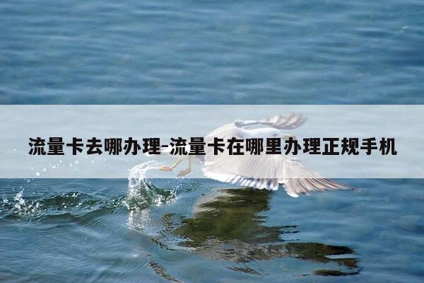 流量卡去哪办理-流量卡在哪里办理正规手机-第1张图片-优惠活动网