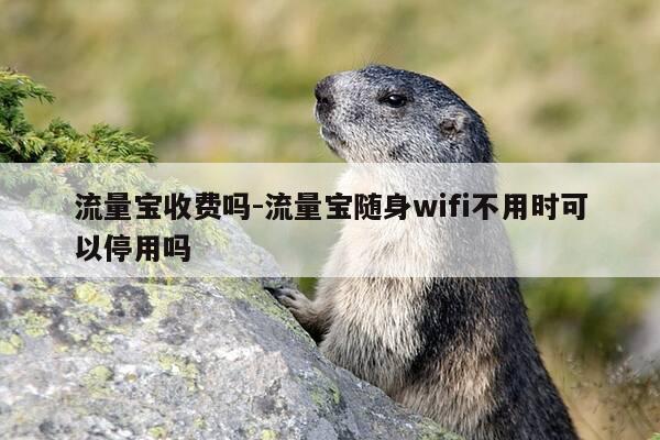 流量宝收费吗-流量宝随身wifi不用时可以停用吗-第1张图片-优惠活动网