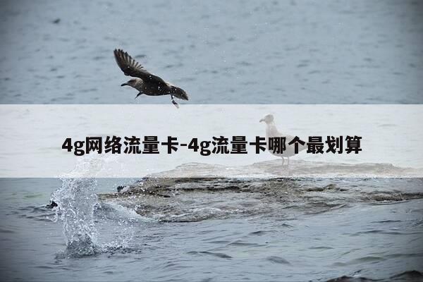 4g网络流量卡-4g流量卡哪个最划算-第1张图片-优惠活动网