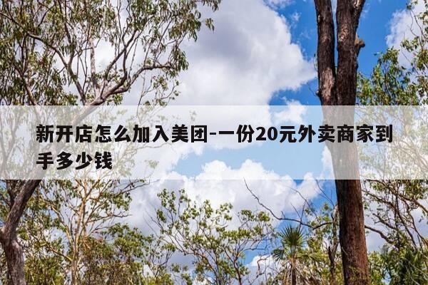 新开店怎么加入美团-一份20元外卖商家到手多少钱-第1张图片-优惠活动网