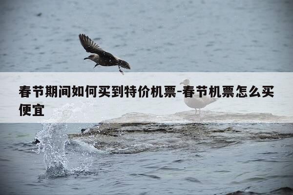 春节期间如何买到特价机票-春节机票怎么买便宜-第1张图片-优惠活动网