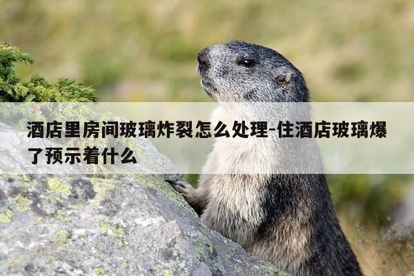 酒店里房间玻璃炸裂怎么处理-住酒店玻璃爆了预示着什么-第1张图片-优惠活动网