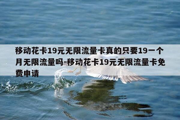 移动花卡19元无限流量卡真的只要19一个月无限流量吗-移动花卡19元无限流量卡免费申请-第1张图片-优惠活动网 移动花卡19元无限流量卡真的只要19一个月无限流量吗-移动花卡19元无限流量卡免费申请-第1张图片-优惠活动网