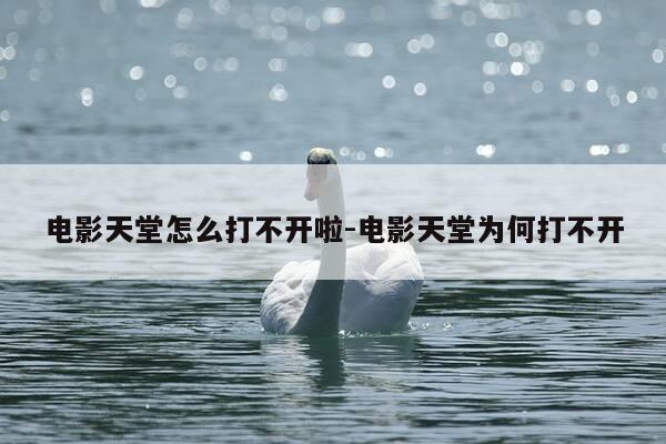 电影天堂怎么打不开啦-电影天堂为何打不开-第1张图片-优惠活动网