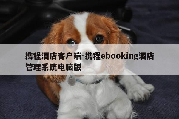 携程酒店客户端-携程ebooking酒店管理系统电脑版-第1张图片-优惠活动网