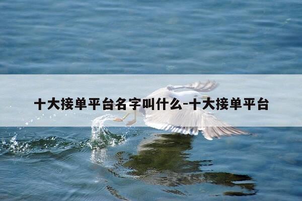 十大接单平台名字叫什么-十大接单平台-第1张图片-优惠活动网