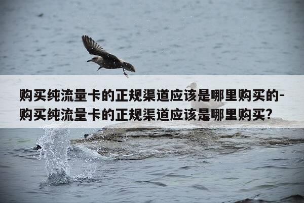 购买纯流量卡的正规渠道应该是哪里购买的-购买纯流量卡的正规渠道应该是哪里购买?-第1张图片-优惠活动网