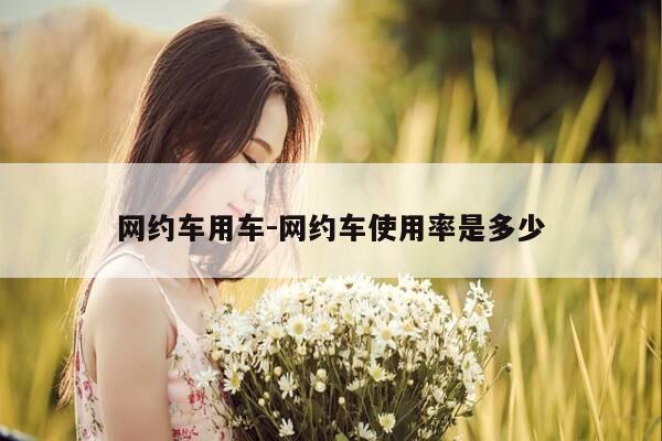 网约车用车-网约车使用率是多少-第1张图片-优惠活动网 网约车用车-网约车使用率是多少-第1张图片-优惠活动网