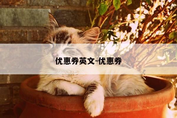 优惠券英文-优惠券-第1张图片-优惠活动网