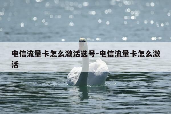 电信流量卡怎么激活选号-电信流量卡怎么激活-第1张图片-优惠活动网 电信流量卡怎么激活选号-电信流量卡怎么激活-第1张图片-优惠活动网