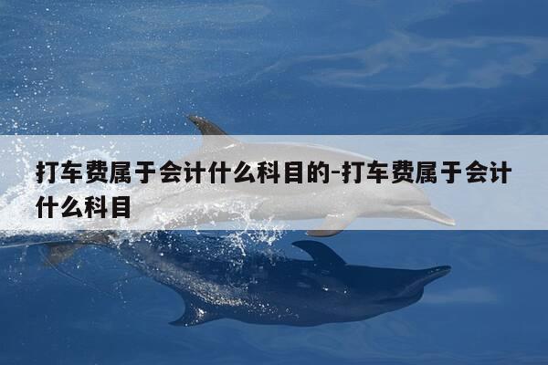 打车费属于会计什么科目的-打车费属于会计什么科目-第1张图片-优惠活动网