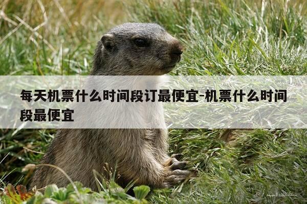 每天机票什么时间段订最便宜-机票什么时间段最便宜-第1张图片-优惠活动网