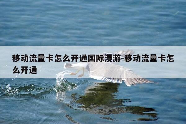 移动流量卡怎么开通国际漫游-移动流量卡怎么开通-第1张图片-优惠活动网 移动流量卡怎么开通国际漫游-移动流量卡怎么开通-第1张图片-优惠活动网