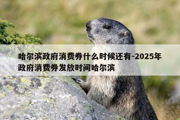 哈尔滨政府消费券什么时候还有-2025年政府消费券发放时间哈尔滨-第1张图片-优惠活动网 哈尔滨政府消费券什么时候还有-2025年政府消费券发放时间哈尔滨-第1张图片-优惠活动网