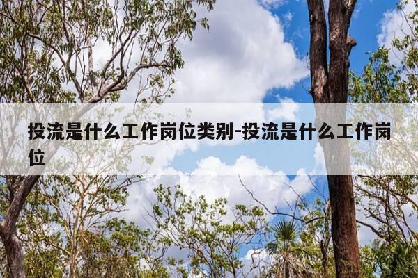 投流是什么工作岗位类别-投流是什么工作岗位-第1张图片-优惠活动网 投流是什么工作岗位类别-投流是什么工作岗位-第1张图片-优惠活动网