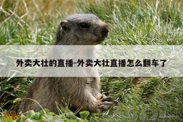 外卖大壮的直播-外卖大壮直播怎么翻车了-第1张图片-优惠活动网