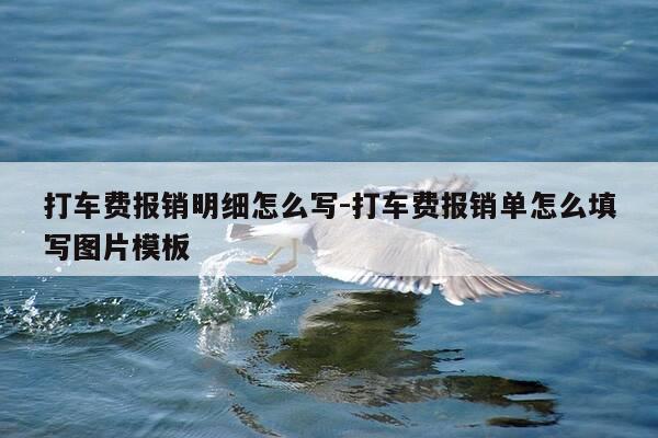 打车费报销明细怎么写-打车费报销单怎么填写图片模板-第1张图片-优惠活动网 打车费报销明细怎么写-打车费报销单怎么填写图片模板-第1张图片-优惠活动网