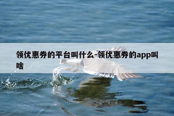 领优惠券的平台叫什么-领优惠券的app叫啥-第1张图片-优惠活动网